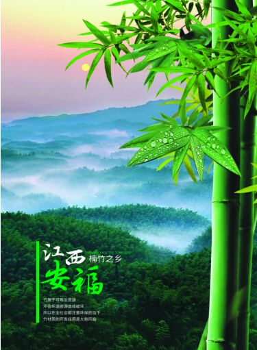 博诗曼衣柜：传承木蜡油传统工艺 会“呼吸”的衣柜